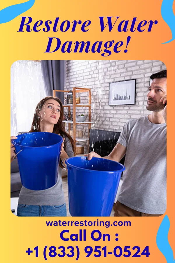 water restoration Titan Water Solutions & Sons Wylandville
