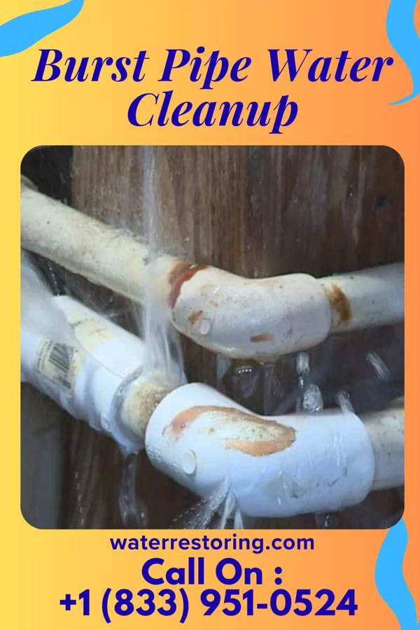 Burst Pipe Water Cleanup in Wylandville, PA
