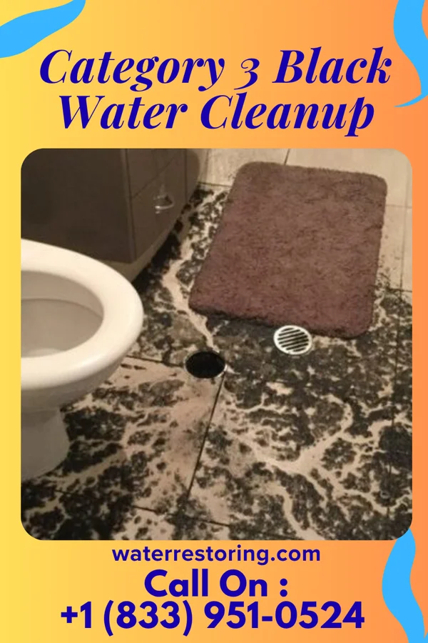 Category 3 Black Water Cleanup in Wylandville, PA