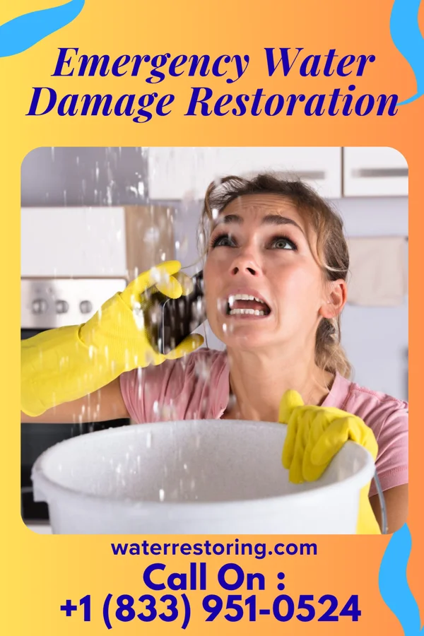 Emergency Water Damage Restoration in Wylandville, PA