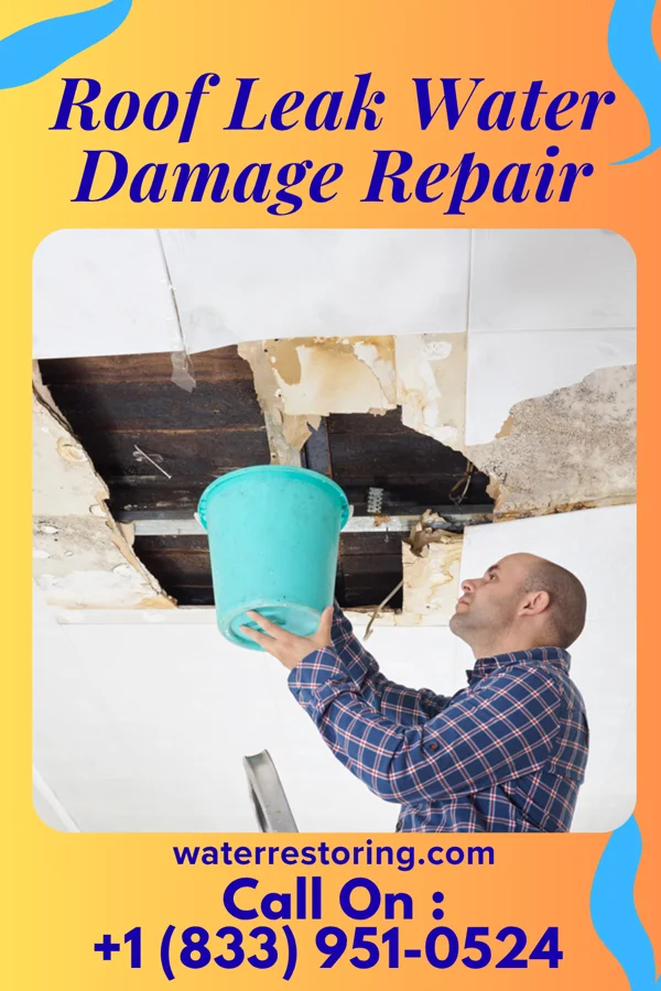 Roof Leak Water Damage Repair in Wylandville, PA